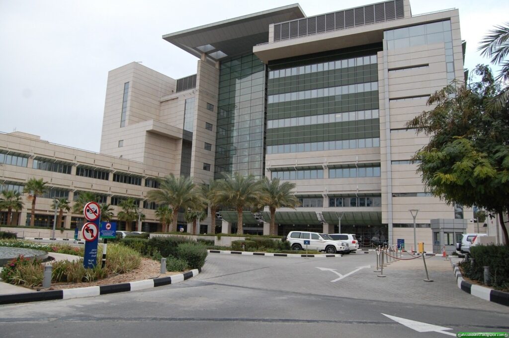 Топ-5 лучших больниц в Дубае - Limitless Valley - Real Estate - Dubai