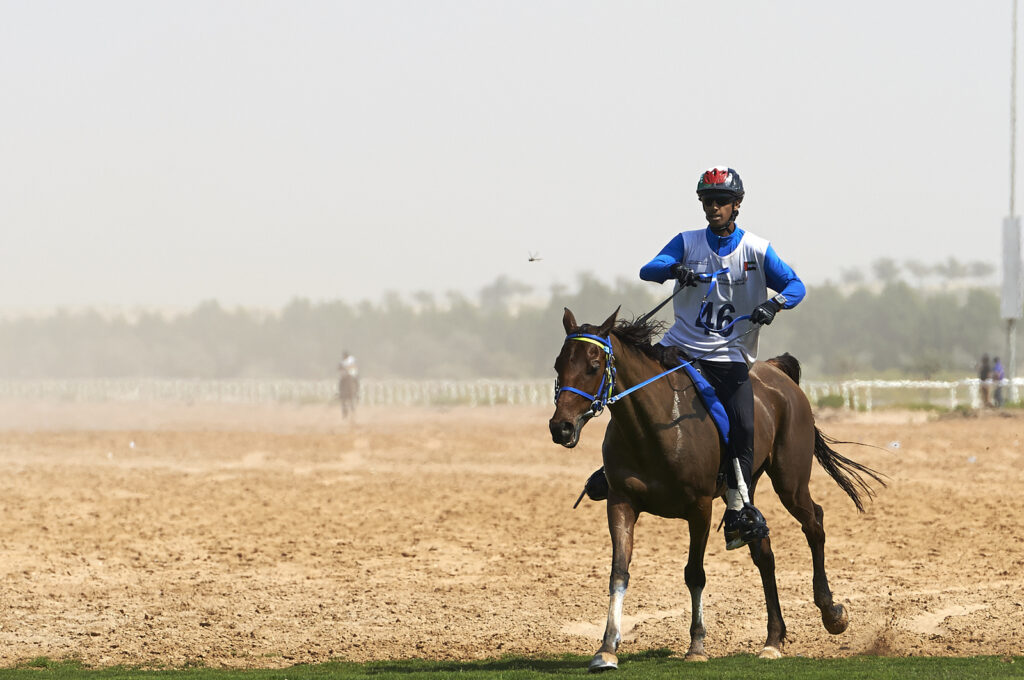 Лучшие места для владельцев лошадей в Дубае - Limitless Valley - Real Estate - Dubai